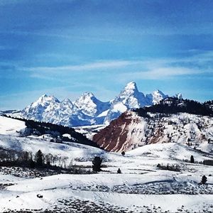 Meet your Posher, Matt